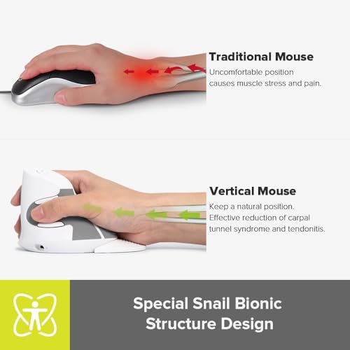 DELUX Ergonomic Vertical Mouse Wireless, Rechargeable Vertical Mouse, Bluetooth/2.4G Dual Mode, Slient Click, Removable Wrist Rest, 800/1200/1600DPI Levels, 6 Buttons, for Laptop/PC (M618G DB-White) - Image 2