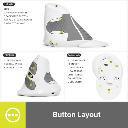 DELUX Ergonomic Vertical Mouse Wireless, Rechargeable Vertical Mouse, Bluetooth/2.4G Dual Mode, Slient Click, Removable Wrist Rest, 800/1200/1600DPI Levels, 6 Buttons, for Laptop/PC (M618G DB-White) - Image 3