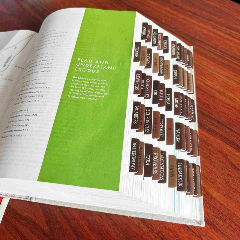 Thinkor Reposition Laminated Bible Tabs, Large Print Stickers, Easy to Read & Apply Bible Tabs for Women & Man (Earthy Brown) - Image 4