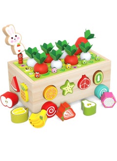 M MIAOYAN Toddlers Montessori Wooden Educational Toys for Baby Boys Girls Shape Sorting Toys Wood Preschool Learning Fine Motor Skills Game  - Image 1