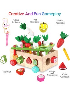 M MIAOYAN Toddlers Montessori Wooden Educational Toys for Baby Boys Girls Shape Sorting Toys Wood Preschool Learning Fine Motor Skills Game  - Image 2