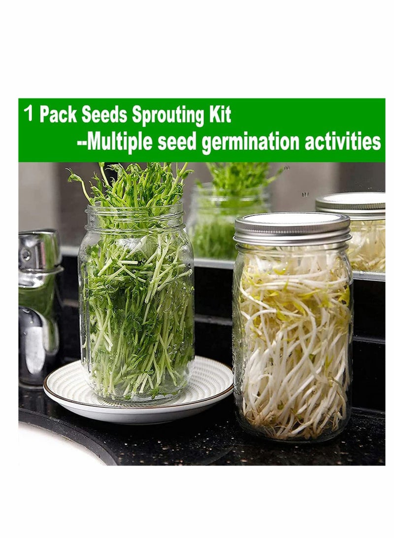 KASTWAVE Sprouting Wide Mouth Jar with Steel Mesh Lids and Stands, 650ML Sprouter Jars, for Broccoli Beans Microgreens Sprouts - Image 2