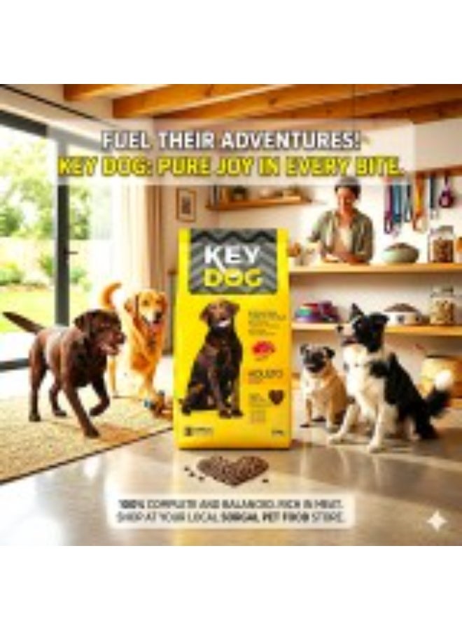 Key Dog Adult Dry Dog Food 20kg by Sorgal Pet Food – Complete & Balanced Maintenance Nutrition for Adult Dogs of All Breeds – Rich in Meat & Whole Grains – Economical Bulk Pack for Shelters, Kennels & Home Use - Image 2