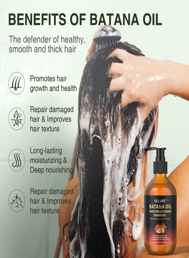ulluxe Batana Oil Hair Growth Shampoo, Strengthening Regrowth Shampoo for Men & Women with Thinning Hair & Hair Loss, Infused Rosemary, Mint Oil Nourishes Scalp, Sulfate Free for All Hair Types, 10.15 fl.oz - Image 2