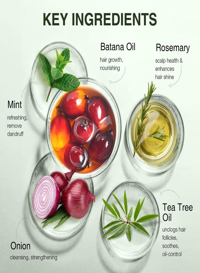 ulluxe Batana Oil Hair Growth Shampoo, Strengthening Regrowth Shampoo for Men & Women with Thinning Hair & Hair Loss, Infused Rosemary, Mint Oil Nourishes Scalp, Sulfate Free for All Hair Types, 10.15 fl.oz - Image 4