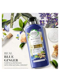 Herbal Essences Renew Purify Blue Ginger Conditioner 400ML  - Image 2