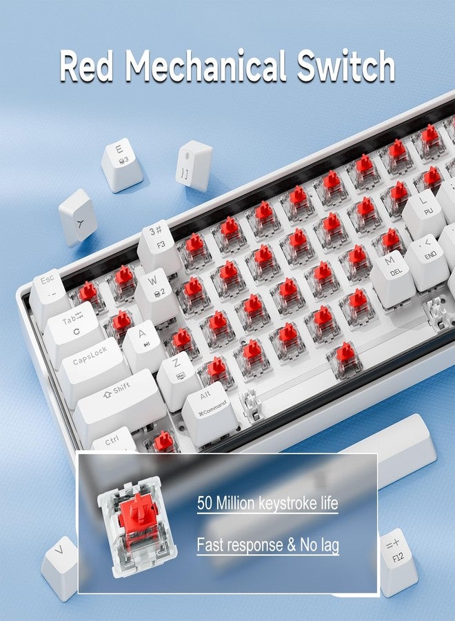 KEMOVE K61SE Gaming Mechanical Keyboard 60 Percent, Wired RGB Backlit N-Key Rollover Compact Mini 61 Keys Keyboard for PC Laptop, Red Switch - Image 3
