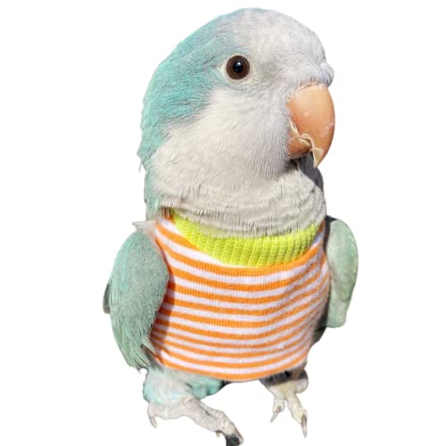 WCDJOMOP Bird Clothes Handmade Cotton Stripe Shirt Round Collar Sweater Flight Suit for Parrots African Greys Parakeet Cockatiel Sun Conure Christmas Halloween Cosplay Apparel Bird Supplies LOrange - Image 1