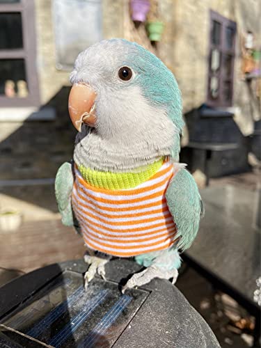 WCDJOMOP Bird Clothes Handmade Cotton Stripe Shirt Round Collar Sweater Flight Suit for Parrots African Greys Parakeet Cockatiel Sun Conure Christmas Halloween Cosplay Apparel Bird Supplies LOrange - Image 3