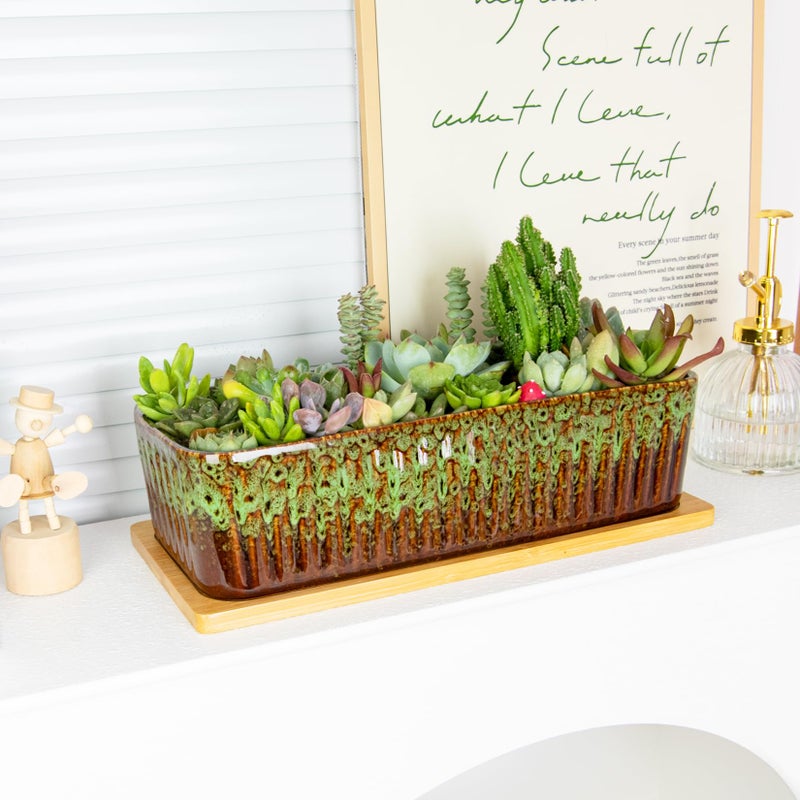 ARTKETTY Succulent Pots - 12 Inch Large Succulent Planters with Drainage Tray, Window Sill Planter, Long Rectangle Ceramic Pots for Indoor Cactus Plants Shallow Bonsai Window Box for Home Garden Decor - Image 4