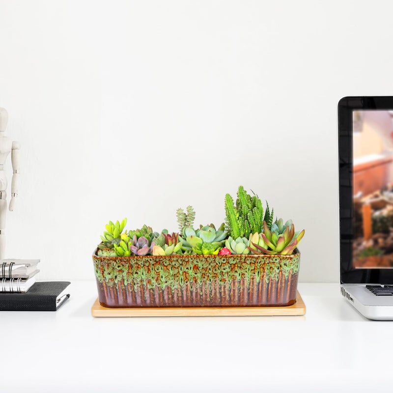 ARTKETTY Succulent Pots - 12 Inch Large Succulent Planters with Drainage Tray, Window Sill Planter, Long Rectangle Ceramic Pots for Indoor Cactus Plants Shallow Bonsai Window Box for Home Garden Decor - Image 5