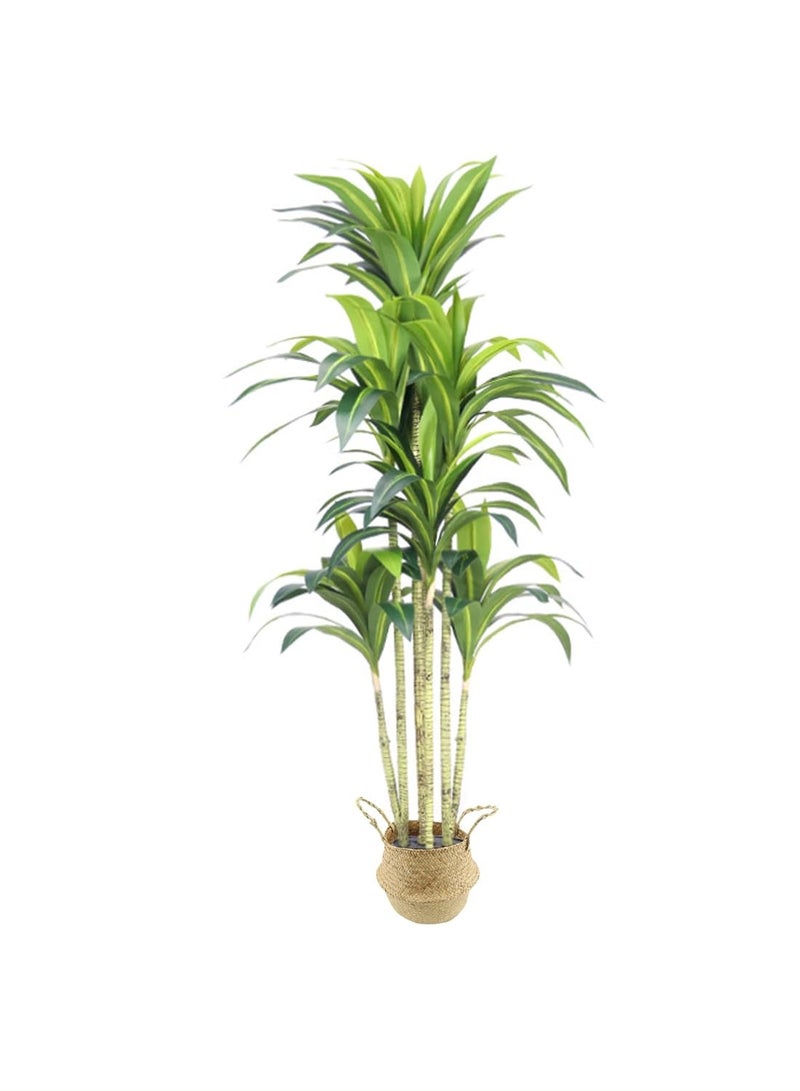 Sinyin Artificial Brazil Wood Plant with Woven Basket Pot, Large Indoor Fake Tree for Living Room Bedroom Office Decoration, Realistic Tropical Floor Plant Home Decor - Image 1