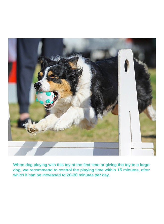 NIBEMINENT Spherical Dog Molar Stick Toy Blue/White - Image 3