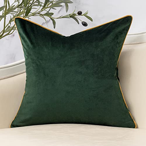Yangest Green Twigs Throw Pillow Cover Branches Velvet Cushion Case Neutral Pillowcase for Sofa Couch Bedroom Living Room Home Decor,18x18 Inch - Image 2