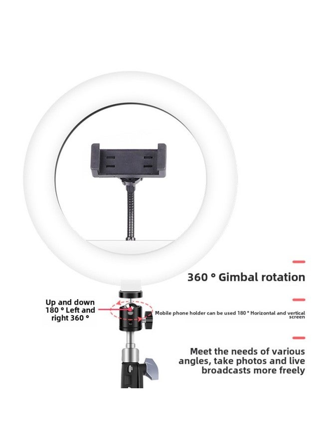 10-inch Fill Light 26CM Anchor Internet Celebrity Beauty Light Live Ring Light Mobile Phone Live Support Photography Light-Color:Thin Lamp  White  - Image 4