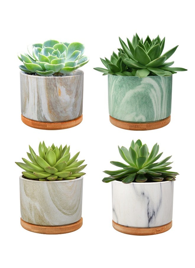 HomarKet Succulent Plant Pots Marbling Ceramic Glazed Planters with Drainage Hole Small Flower Pot Indoor with Bamboo Tray for Cactus House Office Decor Gift - 4 Pack  - Image 1