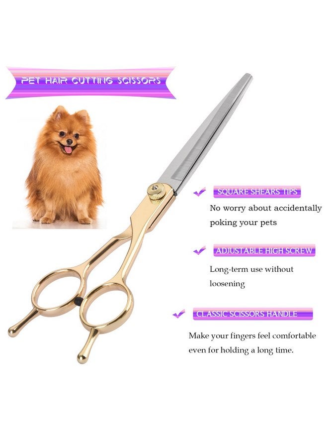 Fcysy Grooming Kit for Dogs at Home, Fcysy Hair Scissors Thinning Shears Set for Dog Cat Pet Grooming, Curved Grooming Scissors Cat Trimming Scissors Tijeras para Cortar Pelo De Perros, Pet Grooming Tools - Image 3