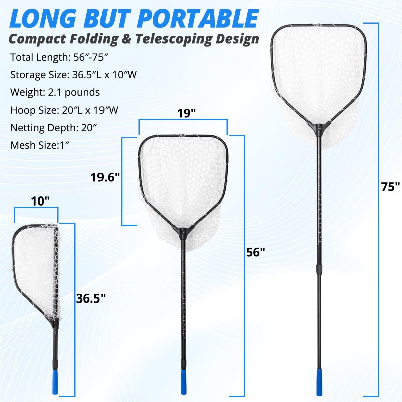 ZOINLIY Long Fishing Net, Foldable Landing Net with Telescoping Handle, Rubber Netting, Lightweight & Strong, Length 56â€³-75â€³, Hoop Size 20â€³ x 19â€³, Depth 24â€³, 25 lbs. Capacity - Image 2