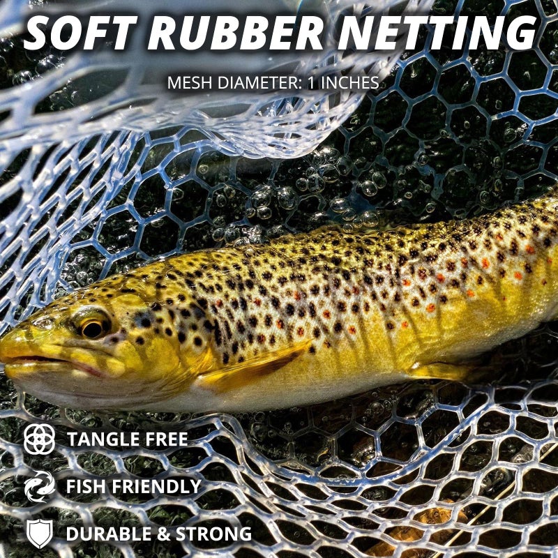 ZOINLIY Long Fishing Net, Foldable Landing Net with Telescoping Handle, Rubber Netting, Lightweight & Strong, Length 56â€³-75â€³, Hoop Size 20â€³ x 19â€³, Depth 24â€³, 25 lbs. Capacity - Image 4