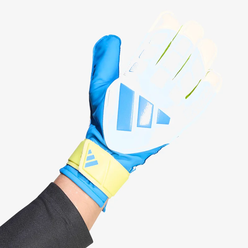 Adidas  PREDATOR GOALKEEPER GLOVE TRAINING  | Best Price UAE