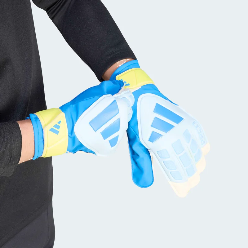 Adidas  PREDATOR GOALKEEPER GLOVE TRAINING  | Best Price UAE