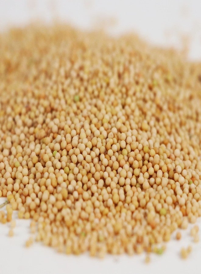 Ramaroma Yellow Mustard Seeds 4oz (113g) Jar ~ All Natural | Vegan | Gluten Friendly | NON-GMO | Sarson |Organic Yellow Mustard Seed | Peeli Sarson |Pilli Sarso - Image 4