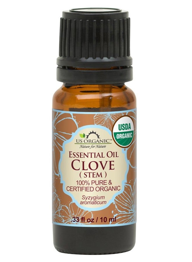 US Organic 100% Pure Clove Stem Essential Oil - USDA Certified Organic, Steam Distilled (10 ml) - Image 1