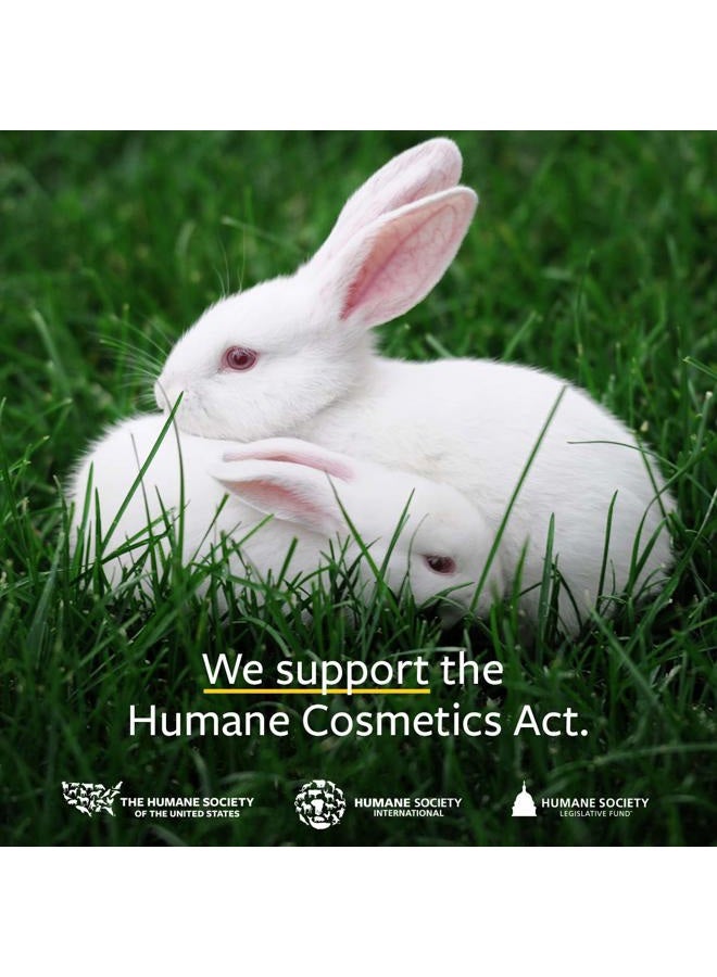 US Organic 100% Pure Clove Stem Essential Oil - USDA Certified Organic, Steam Distilled (10 ml) - Image 5