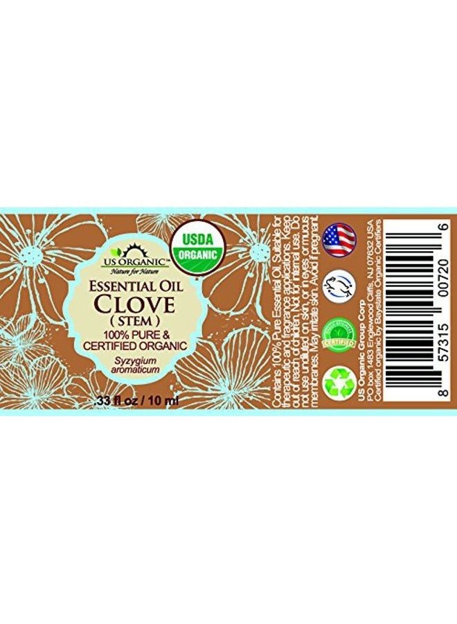 US Organic 100% Pure Clove Stem Essential Oil - USDA Certified Organic, Steam Distilled (10 ml) - Image 2