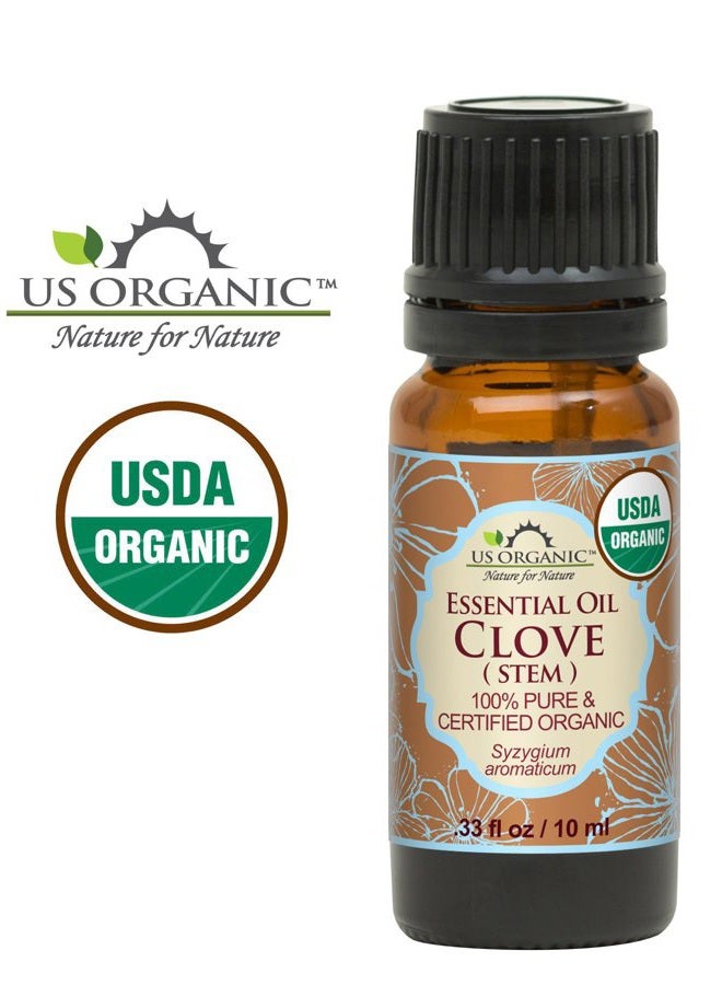 US Organic 100% Pure Clove Stem Essential Oil - USDA Certified Organic, Steam Distilled (10 ml) - Image 3