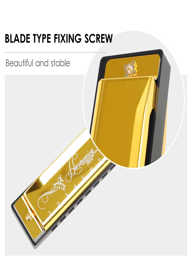 آيرين هارمونيكا مكونة من 10 فتحات ومفتاح C و20 نغمة، هدية موسيقية مع حقيبة تخزين للطلاب المبتدئين - Image 3