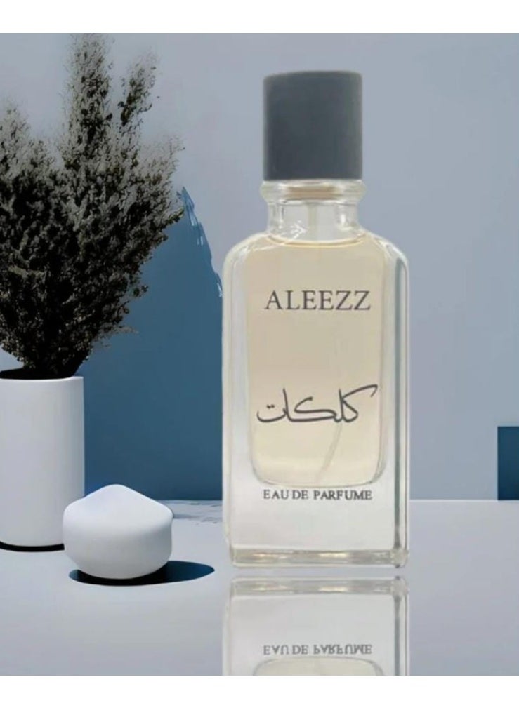 Alezz ED Parfum 100ML - pzsku/Z918EC45DED49736BDB29Z/45/_/1732560351/b581c067-7d82-4e30-9fe1-0ef9441e3a22