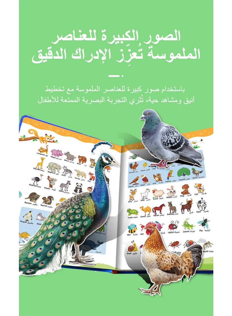 USB-Rechargeable Arabic  English Interactive Talking Book for Kids - Image 5