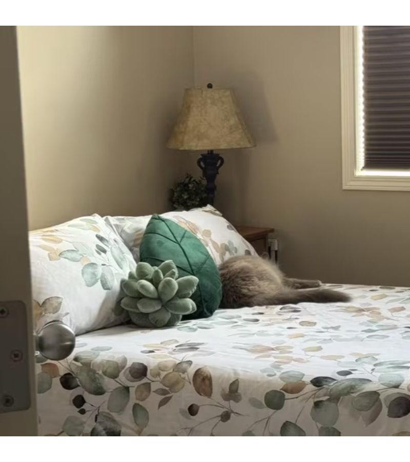 Leaf Shaped Pillow Dark Green Decorative Accent Cushion for Couch Sofa and Bed Retro Vintage Style Soft Cotton Filling 9.84 by 14.96 Inches Hand Wash Only - Image 3