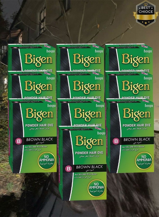بايجن 10 قطع بودرة صبغ الشعر باللون البني والأسود مع الماء العادي بدون أمونيا 6 جرام - Image 1
