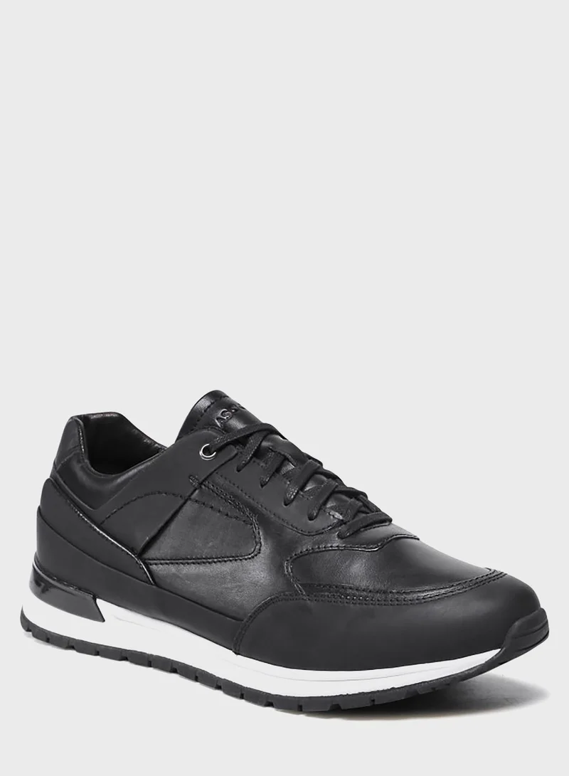 CCC Casual Lace Up Sneakers