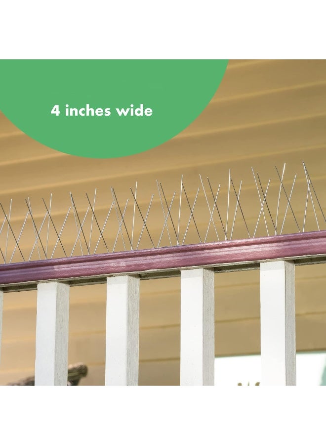 Egardenkart إي غاردن كارت طارد الطيور - مسامير طيور من الفولاذ المقاوم للصدأ للحمام والطيور الصغيرة الأخرى - تصميم صناعي خالٍ من البلاستيك - Image 4