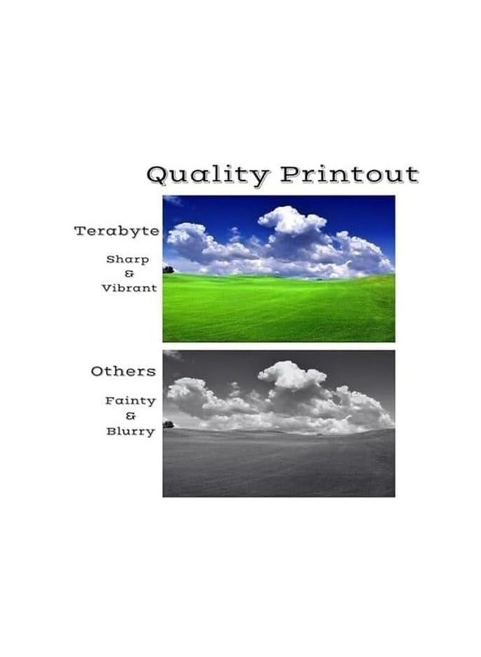 Terabyte 14A Compatible Toner Cartridge Replacement for Toner Cartridge CF214A for LaserJet Enterprise 700 M712 and M725 - Image 2