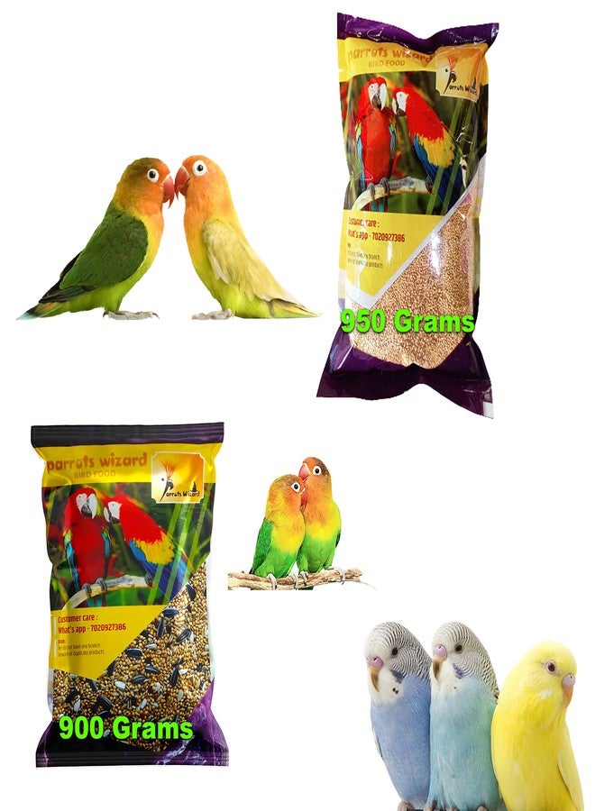Parrots Wizard ببغاوات ساحر، كانجني، مزيج بذور طعام الطيور، عبوة واحدة (900 غرام) - Image 1