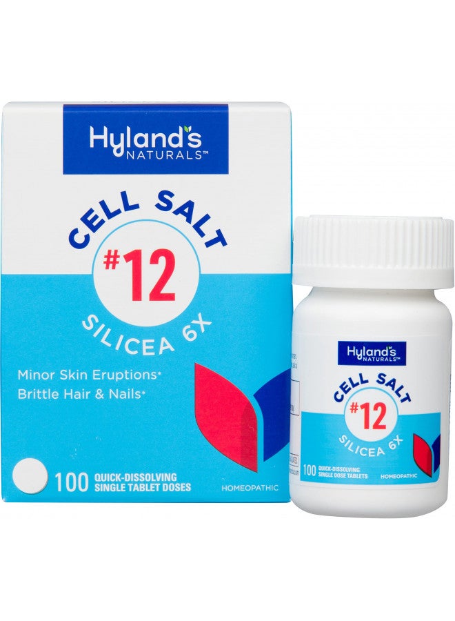 Hyland's Hyland's Naturals No. 12 Cell Salt Silicea 6X Tablets, Acne & Blackhead Treatment, Hair & Nail Growth Supplement & Strengthener, Skin Irritations, Quick Dissolving Tablets, 100 Count - Image 1