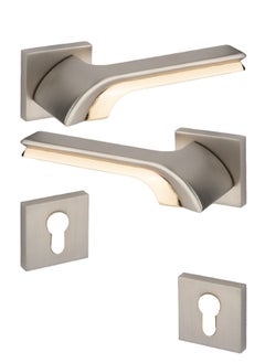 Lozan Heavy Door Handles Pair Silver / Golden 