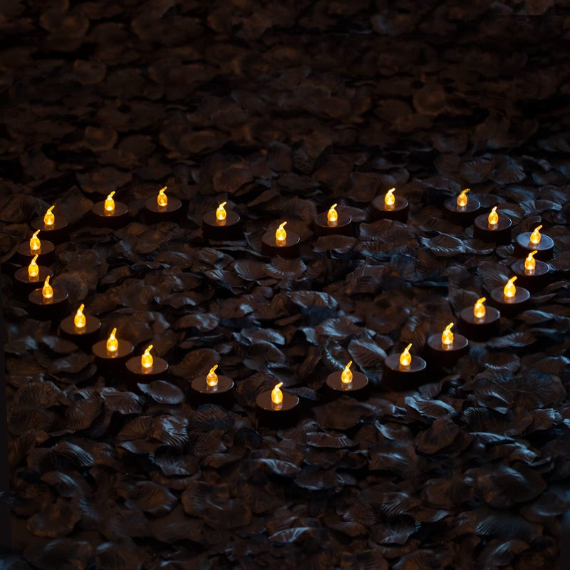 LANKER 500PCS Black Artificial Rose Petals with 24PCS Black Battery Operated Flickering Flameless Tea Lights Candles (Black Tea Lights with Black Rose Petals) - Image 2
