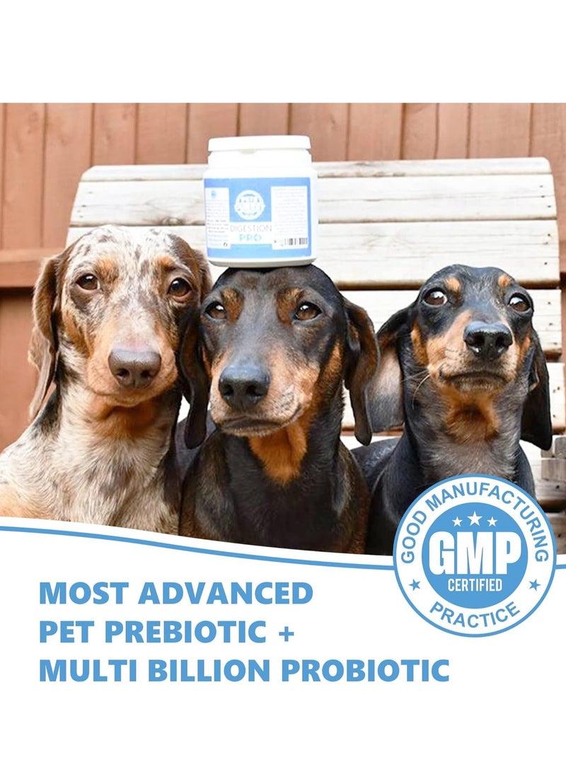 Pets Purest Digestive Prebiotic Probiotic for Dogs Cats and Pet 100 percent  Natural Fibre Digestion Enzymes Immune Support Supplement for Gut Health and Healthy Stools - Image 3
