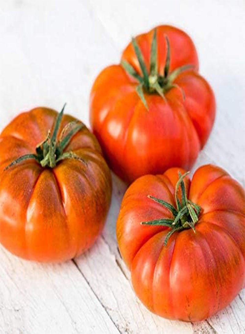 جي جوت 100 قطعة من بذور الطماطم ذات الملمس الفريد والفواكه العصير والأحمر والأصفر ومزيج من الخضروات المزخرفة غير المعدلة وراثيًا وبذور تراثية للزراعة في الحديقة والمزرعة - Image 2