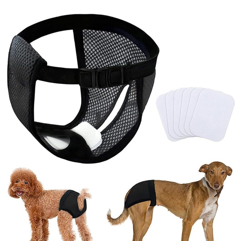 Qpets® ® Pet Use Breathable Reusable Dog Diapers Female with 3 Absorbption Cotton Pad Comfort Reusable Doggy Diapers for Female Dog, Puppy(L,Recommended Waist 15.7''-19.2'') - Image 1