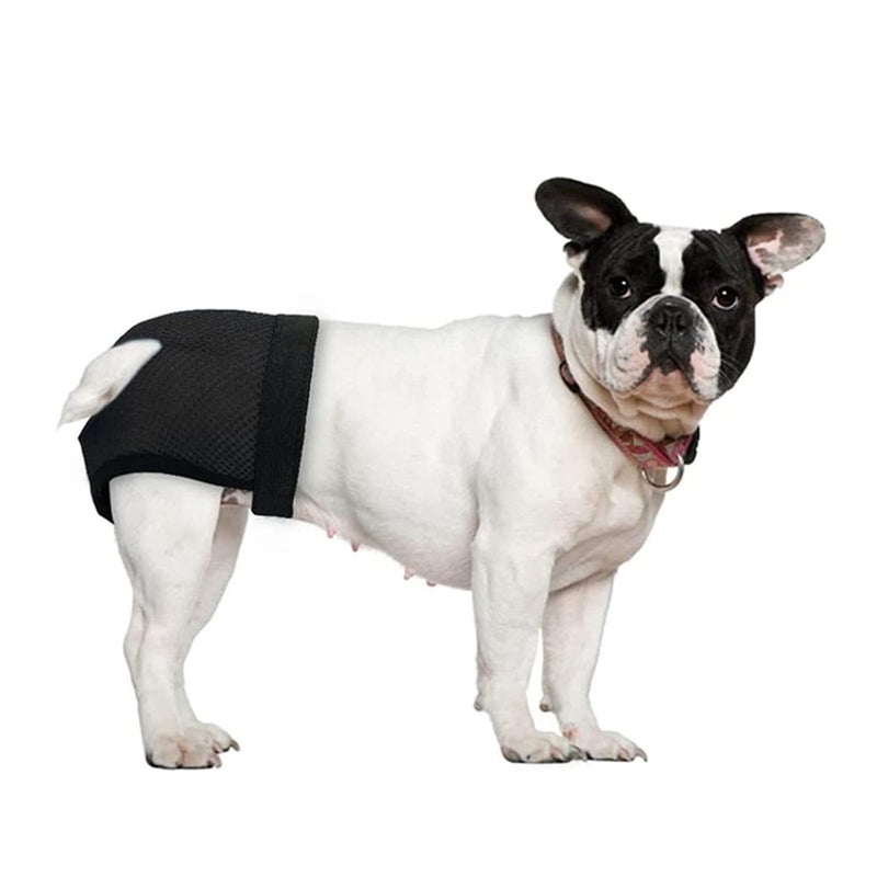 Qpets® ® Pet Use Breathable Reusable Dog Diapers Female with 3 Absorbption Cotton Pad Comfort Reusable Doggy Diapers for Female Dog, Puppy(L,Recommended Waist 15.7''-19.2'') - Image 4