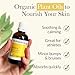 Pranarom USDA Certified Organic French Arnica Virgin Plant Oil 2 fl oz Glass Bottle Massage Oil for Body Relaxing Soothing for Joints Muscles - Image 4