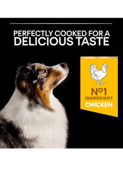 PURINA Medium and Large Adult 7+ Age Defence Chicken Dog Food - 3KG  - Image 2