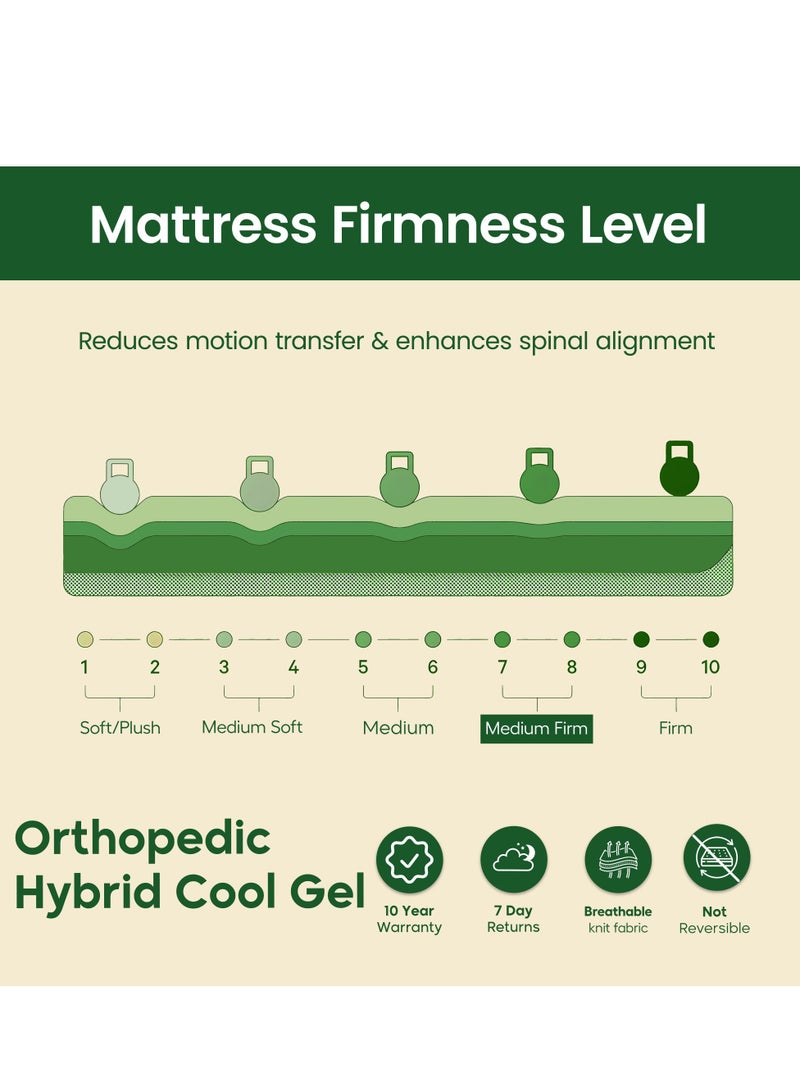 EASELIVING Orthopedic Hybrid Cool Gel Memory Mattress | Medium Firm EuroTop - King (180 x 200 x 30 cm) | Spine Alignment, Motion Isolation, Edge Support | Cooling And Pressure Relief | Pocket Spring Core - Image 4