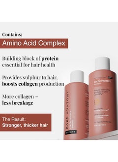 BARE ANATOMY Hair Colour Protect Shampoo, Retains Colour Upto 8 Weeks, Repairs Damage With Amino Acid & Quinoa Protein For Dry & Frizzy Coloured Hair For Unisex, 250Ml  - Image 4